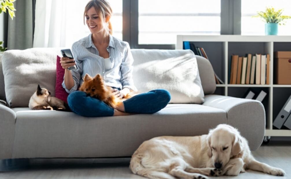 Saca tu turno y ahorra tiempo