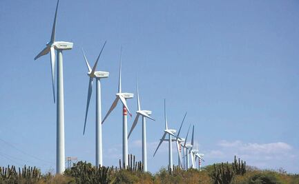 Gobierno, cliente único de los parques eólicos