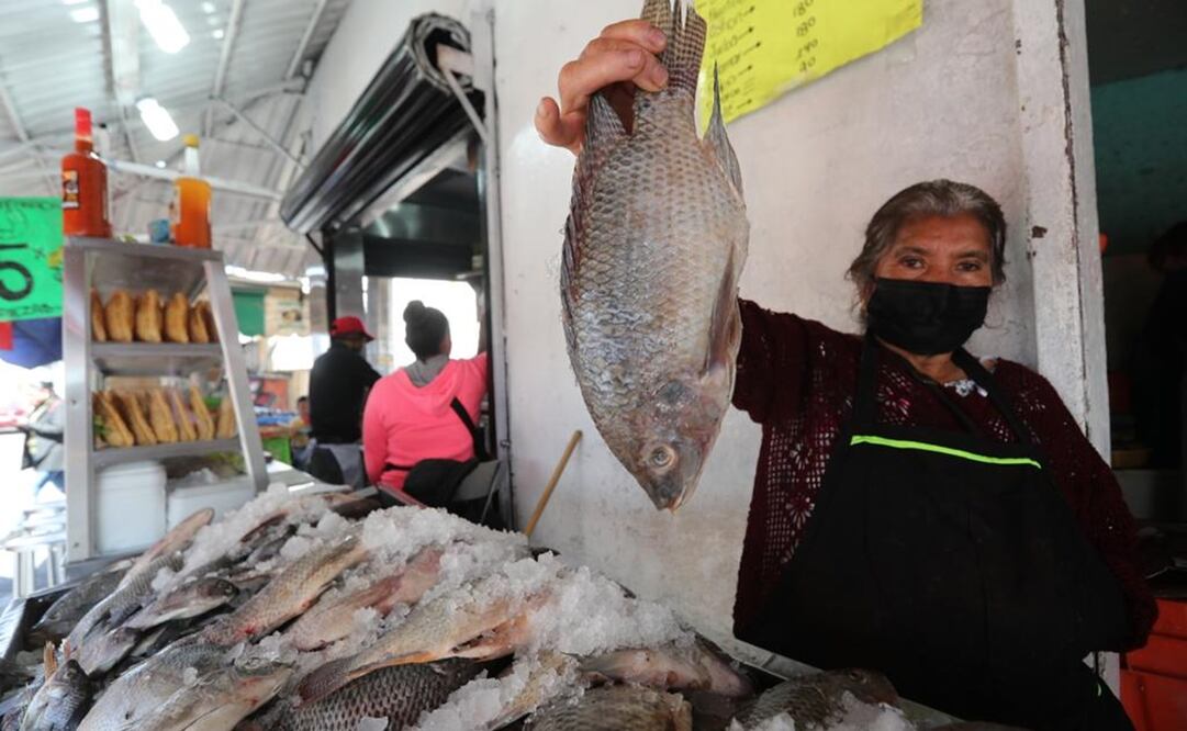 Los más de 100 locatarios de pescados y mariscos de San Luis Metepec, Zinacantepec, se preparan para la venta de la Cuaresma y reconocieron que las ventas han reducido producto del incremento en los precios. Foto: Jorge Alvarado / EL UNIVERSAL
