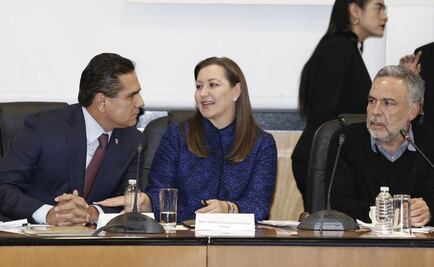 Martha Erika, la mediadora