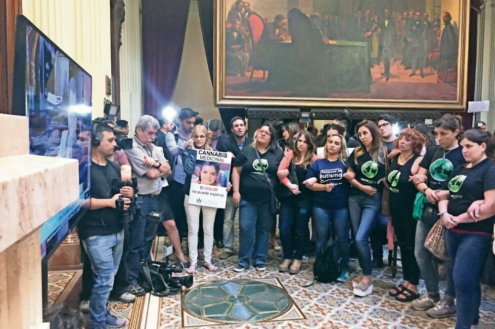 Integrantes de la organización Mamá Cultiva, que defiende el derecho a sembrar cannabis, siguieron ayer el debate en el Congreso de Buenos Aires (JAVIER SINAY. CORRESPONSAL)