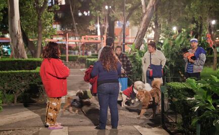 ¿Cómo y por qué se producen los temblores?