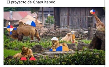Le hacen memes a Gabriel Orozco por proyecto Chapultepec