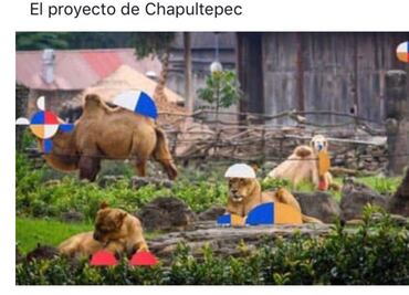 Le hacen memes a Gabriel Orozco por proyecto Chapultepec