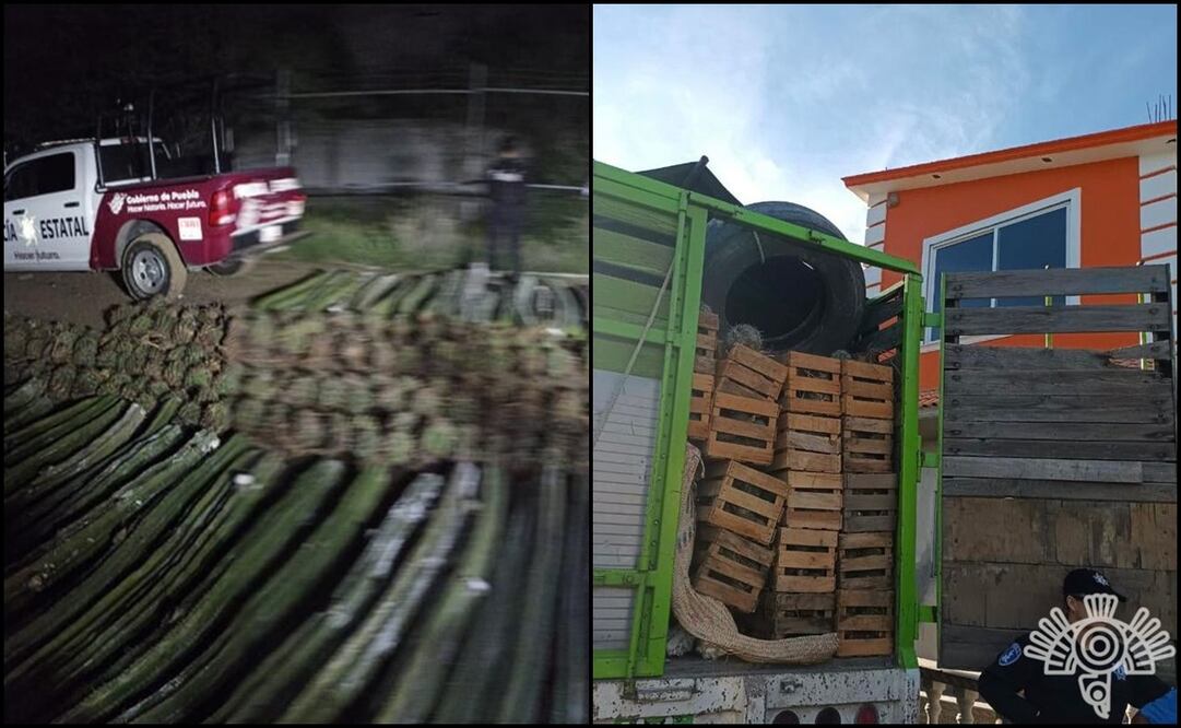 Fotos: Secretaría de Seguridad Pública