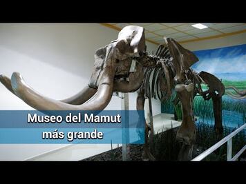 Ampliarán el Museo del Mamut de Tultepec
