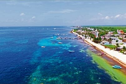 Sargazo pega a playas mexicanas y al turismo