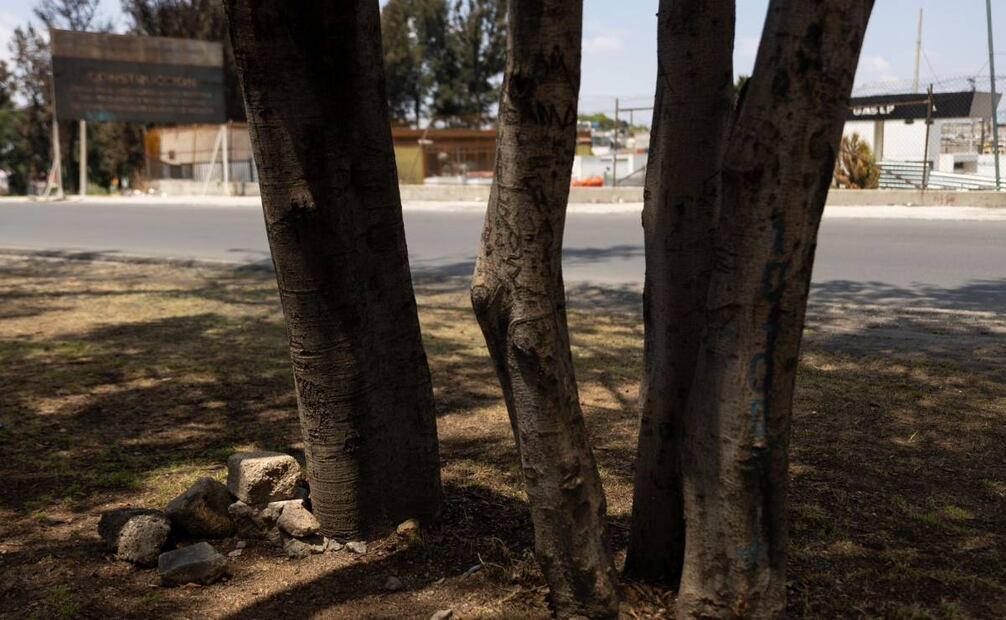 Esas piedras parecen un altar improvisado, rodeadas de árboles chamuscados (14/09/2025). Foto: Hugo Salvador / EL UNIVERSAL