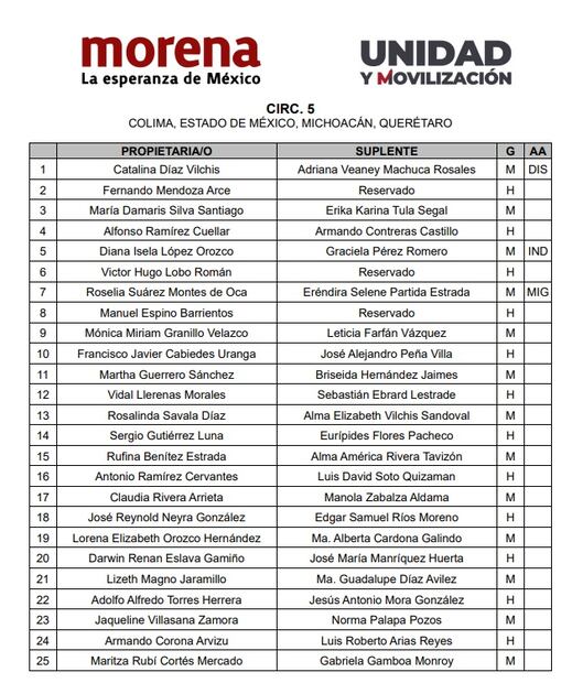 Perfiles de Morena para diputados, quinta circunscripción. Foto: Especial