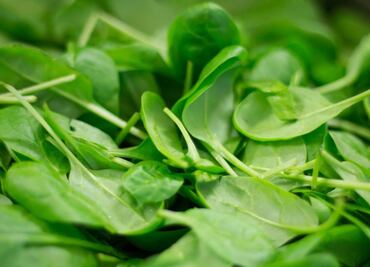 Quelites, beneficios de este superalimento mexicano