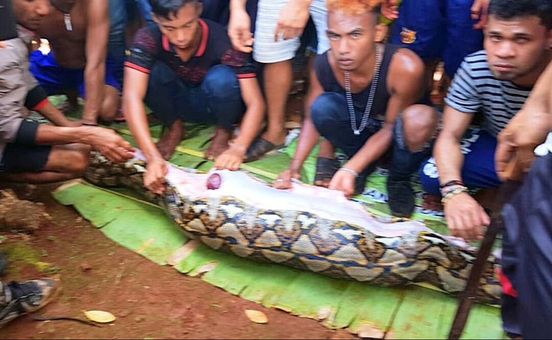 (Foto: liputan6.com)