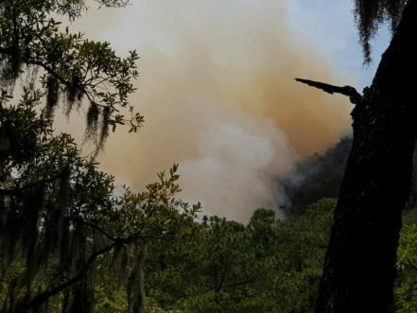Reportan más de mil hectáreas dañadas por incendio forestal en NL