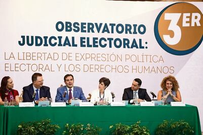 TEPJF: propaganda en la web no se regulará  