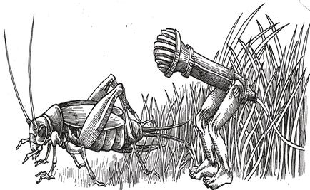 El primer lenguaje (2nda parte)