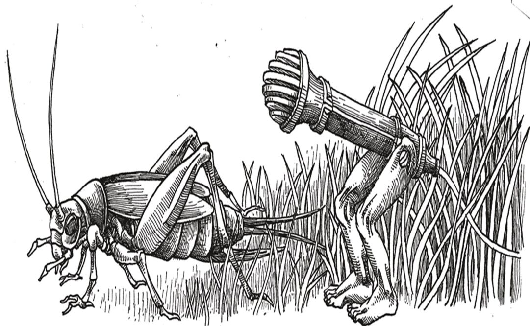 El primer lenguaje (2nda parte)