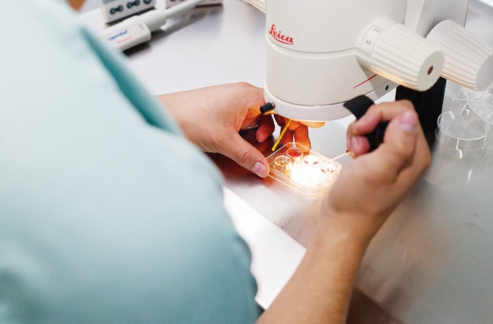 Trump firmó una orden ejecutiva que ordena al Consejo de Política Nacional "examinar formas de hacer que la fecundación in vitro y otros tratamientos de fertilidad. Foto: Archivo/El Universal