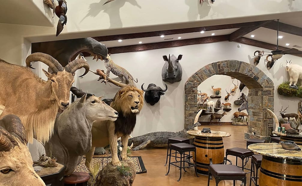 Ernie Dosio, cazador millonario muere tras ser aplastado por un elefante en África. Foto: Redes sociales