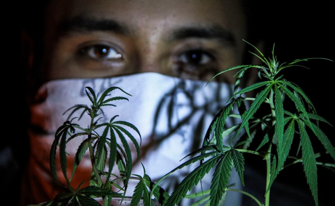 (Foto: Cristopher Rogel Blanquet/El Universal)