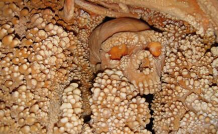 Reconstruyen aspecto de neandertal de hace 150 mil años