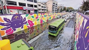 Bajopuente vehicular en Xola, pintado con un ajolote, se anega