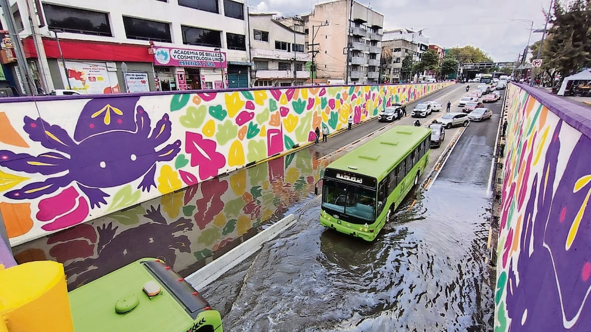 Lluvias dejan inundaciones en el bajopuente vehicular de Xola y Tlalpan que fue pintado, entre otros elementos, con un ajolote morado. Foto: Arantxa Meave/ EL UNIVERSAL