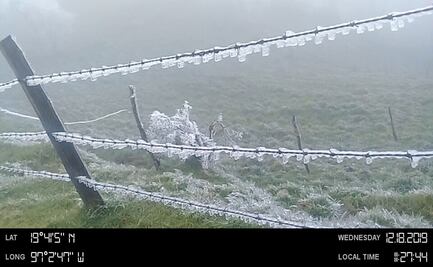 Cencelladas, heladas y vientos del norte golpean a Veracruz