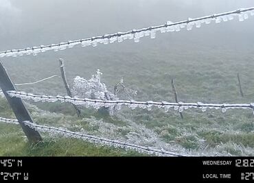 Cencelladas, heladas y vientos del norte golpean a Veracruz