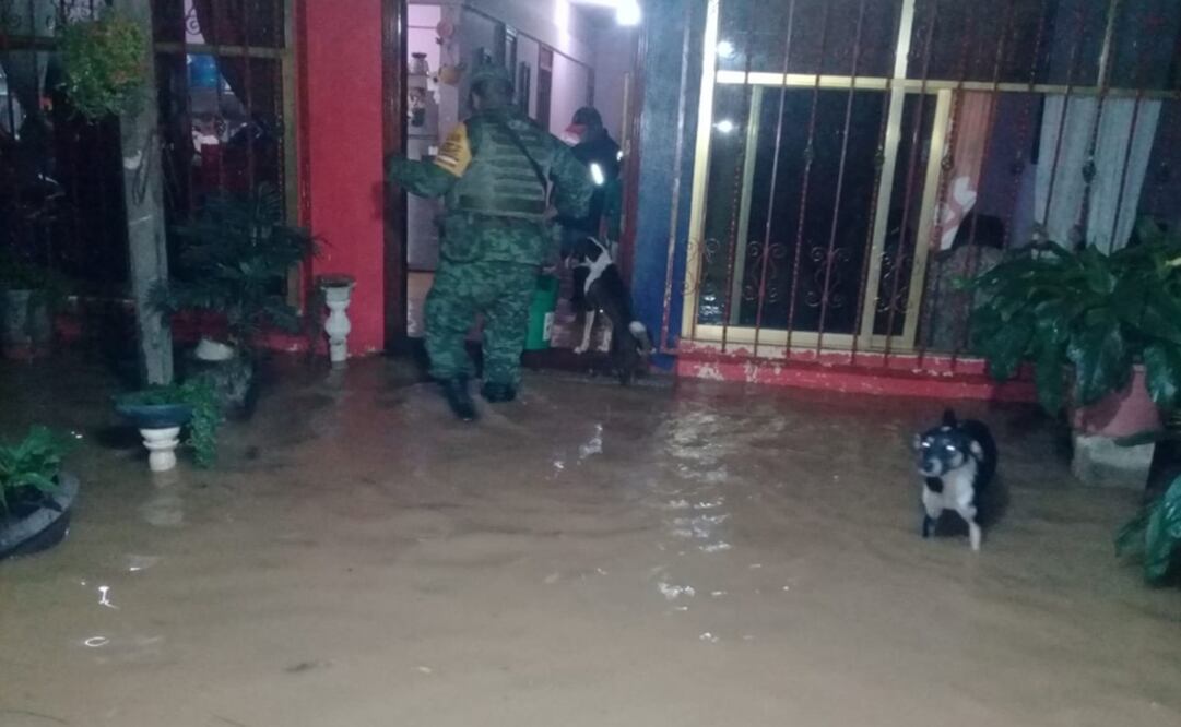 Foto: Tomada de Twitter de @SEDENAmx