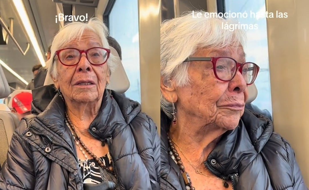 El Tren Interurbano permitirá conectar al Estado de México con la capital del país. Foto: TikTok