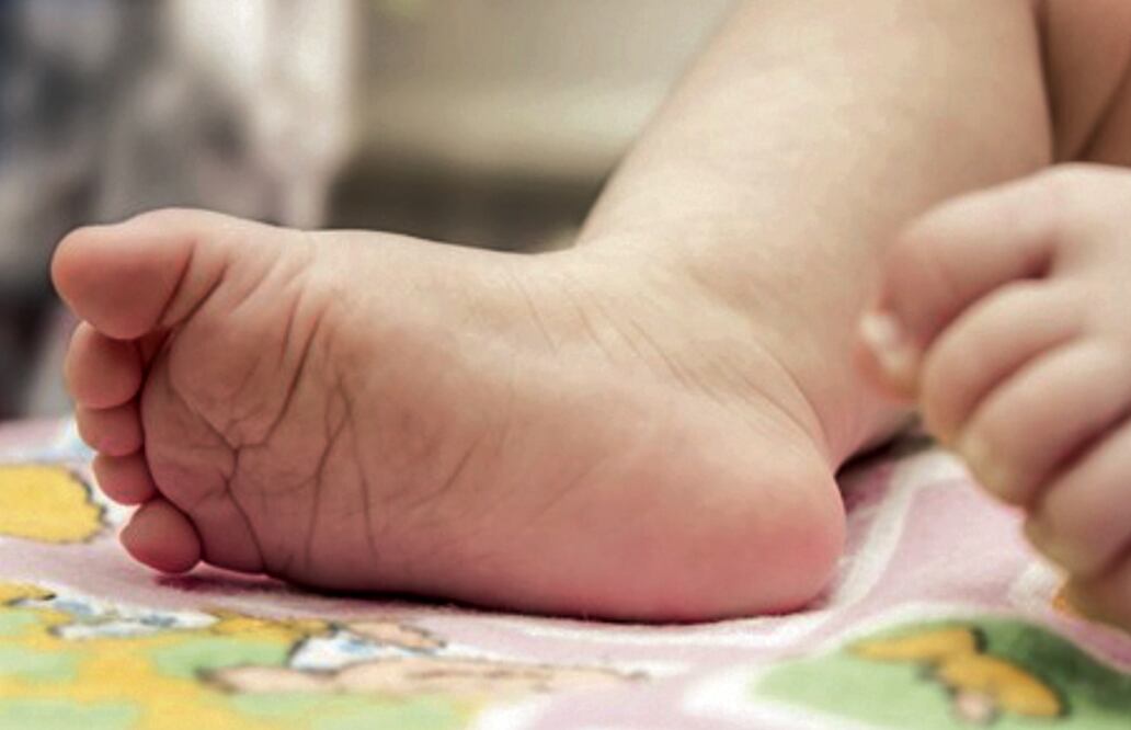 Foto: archivo/EL UNIVERSAL