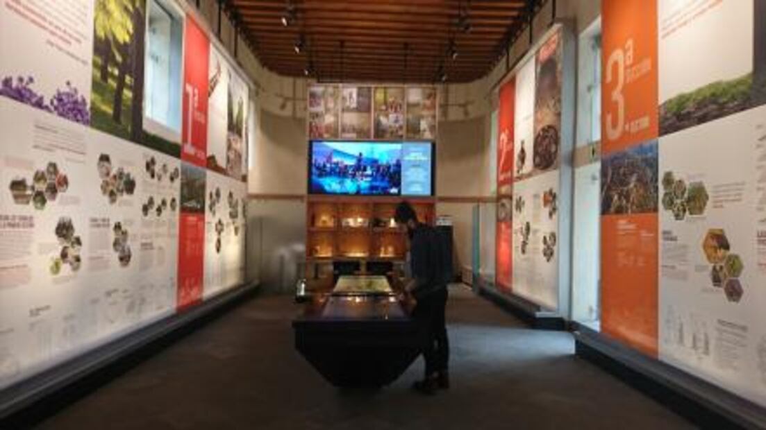 Los pequeños edificios que cuentan la historia de Chapultepec