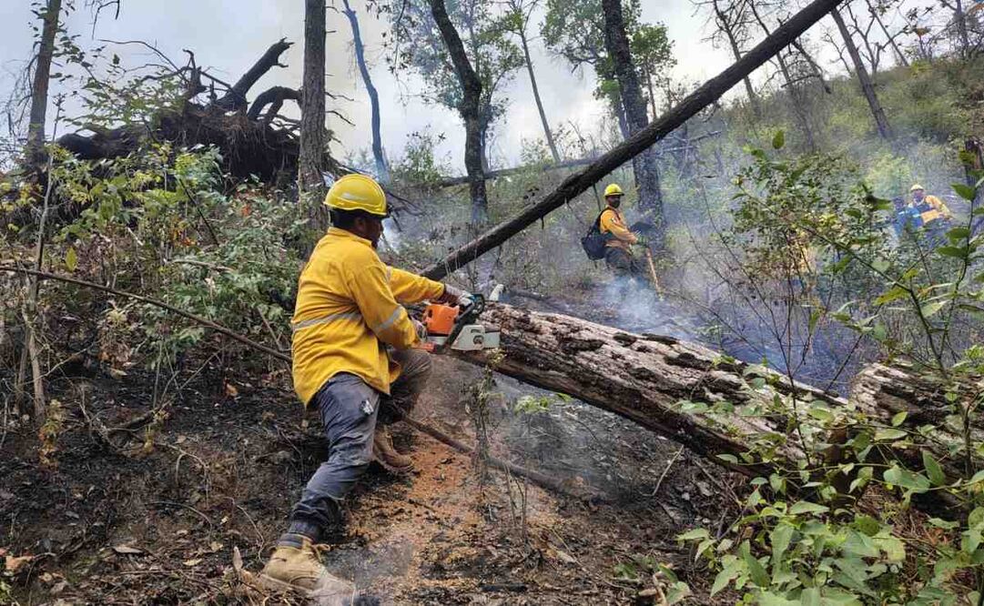 Vuelca camioneta en Nuevo León y deja 12 muertos (23/02/2025). Foto: Especial