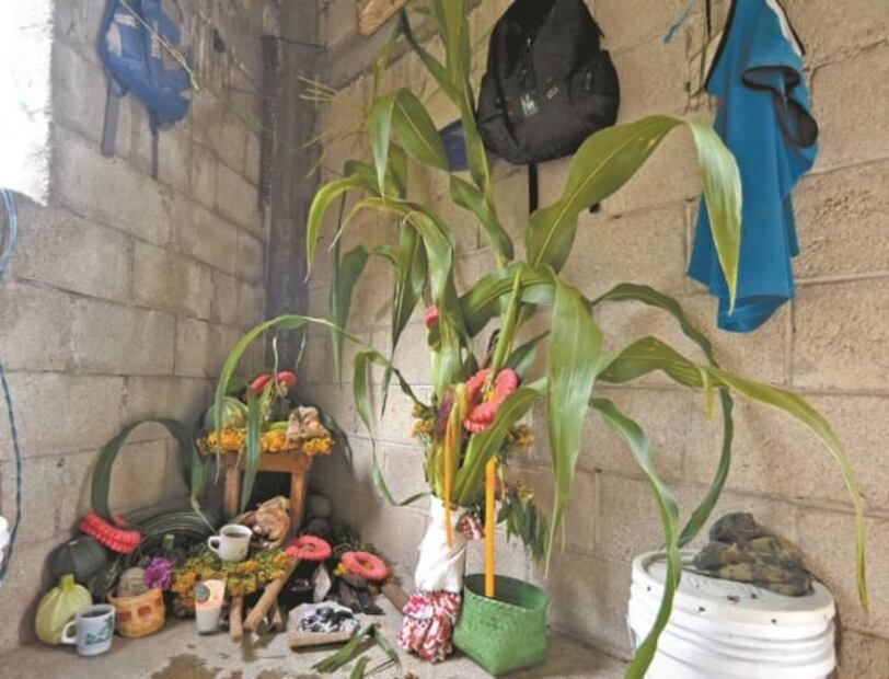 Covid-19 no frena el baile tradicional a la milpa