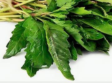 Esta es la hierba olorosa que disminuye los dolores menstruales y acaba con los parásitos