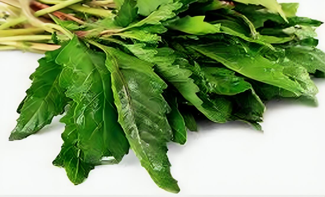 Epazote. Foto: Redes sociales