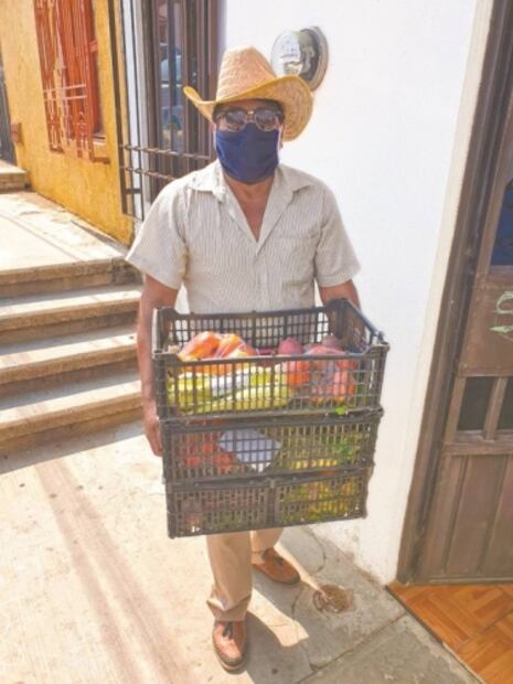 Adaptarse. Covid no paraliza labores agrícolas