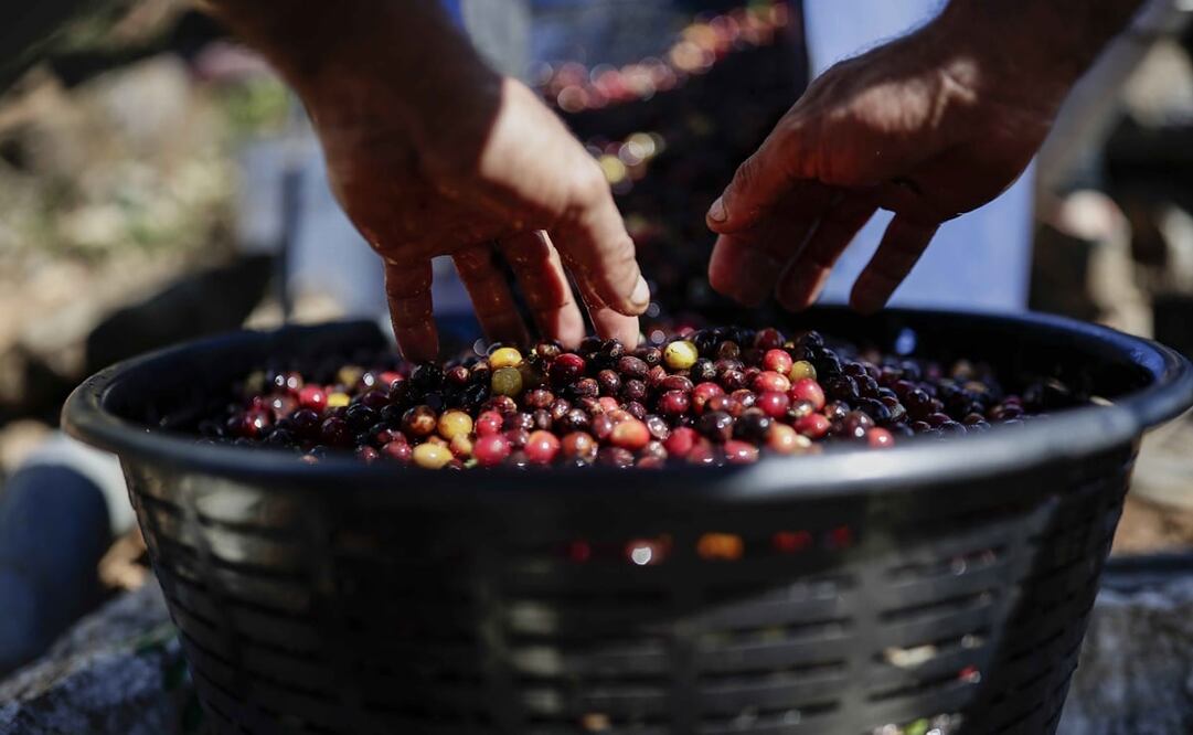 Foto: EFE/ Jeffrey Arguedas, Archivo El Universal