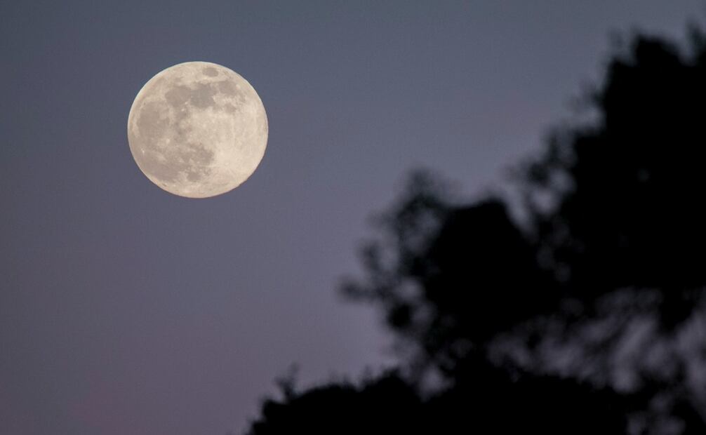 Vista de la luna llena saliendo entre los encinares andaluces de Sierra Morena. Foto: Annais Pascual / EFE