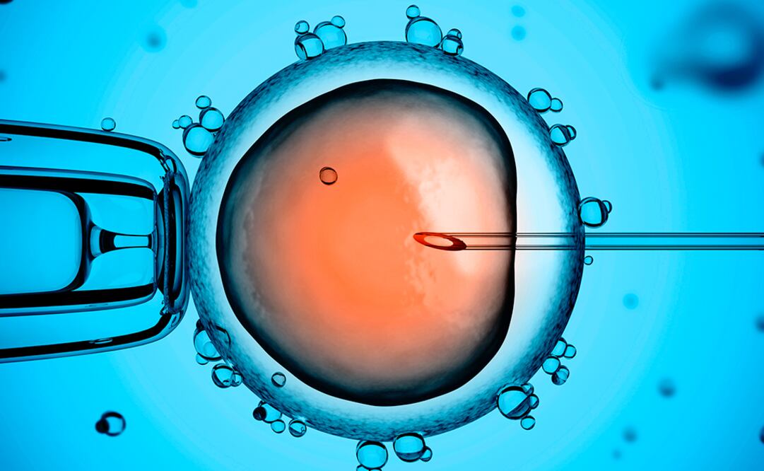 La tecnología para preservar la fertilidad