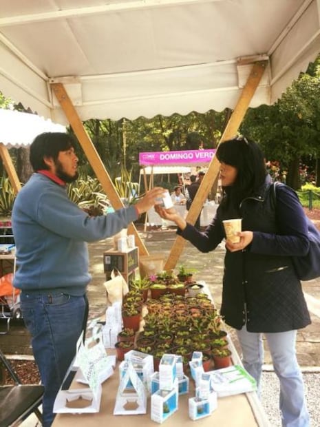 Diciembre en el Bosque de Chapultepec: qué hacer y ver