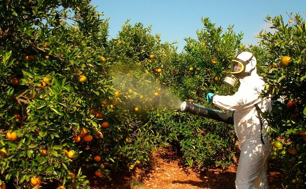Foto: cortesía Secretaría de Salud del Estado