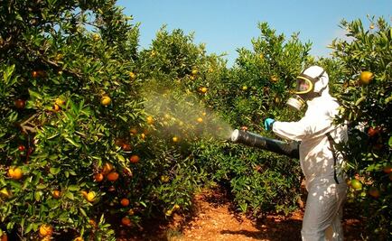 Vigilan uso de plaguicidas en Sinaloa