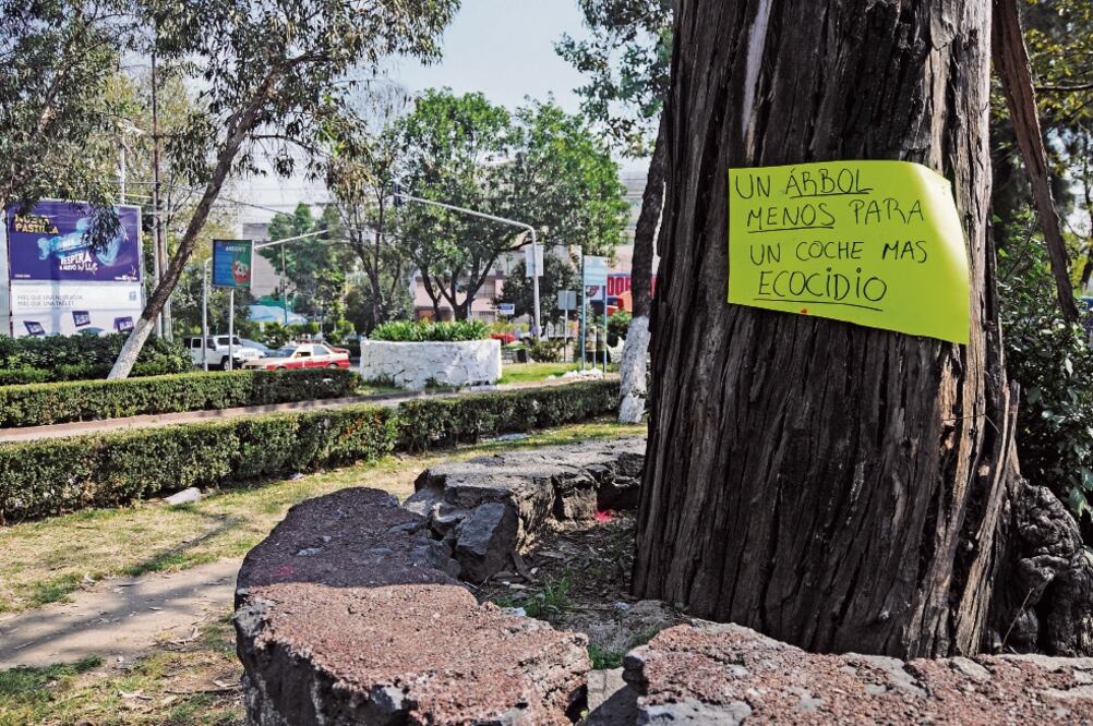 Como parte de las obras de mitigación que se realizan por la ampliación de la plaza comercial Parque Delta, Grupo Danhos rehabilita el camellón de Obrero Mundial que se encuentra entre avenida Cuauhtémoc y Doctor Vértiz (ARCHIVO EL UNIVERSAL)