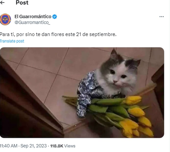 Meme flores amarillas. Foto: Redes Sociales