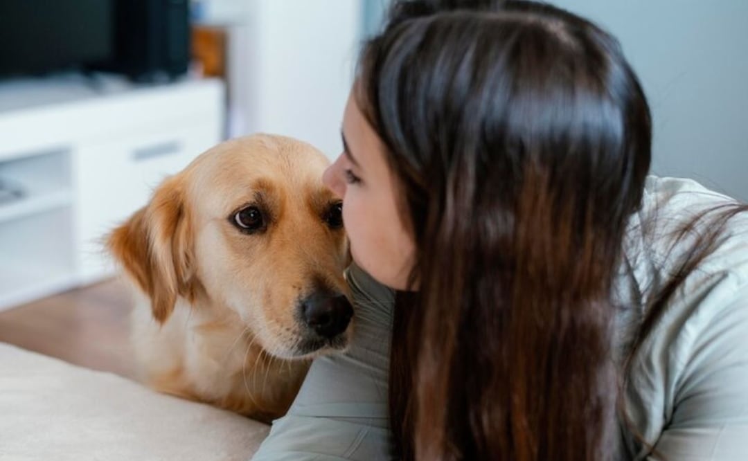 Las frases que hacen latir el corazón de tu perro. Fuente: Freepik.