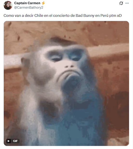 Memes del primer concierto del DTMF World Tour en Lima, Perú. Foto: X