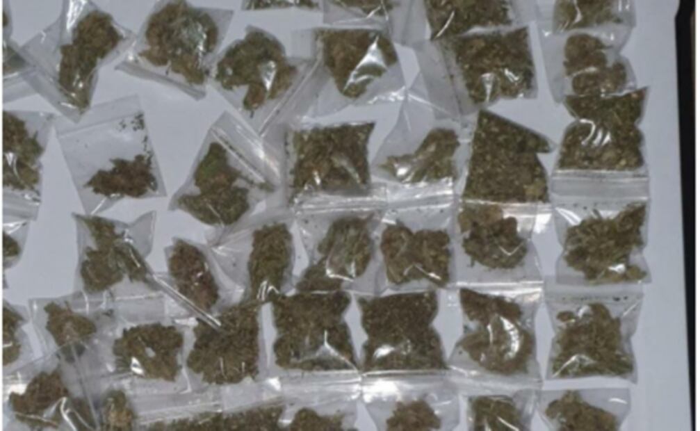 Cae pareja con drogas y armas tras cateo en Álvaro Obregón