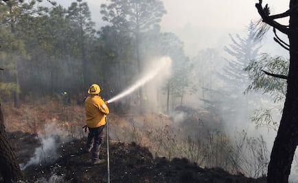 Controlan totalmente incendio en Texcoco