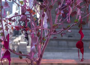 Mueren 15 mexicanas por cáncer de mama cada día: Incan