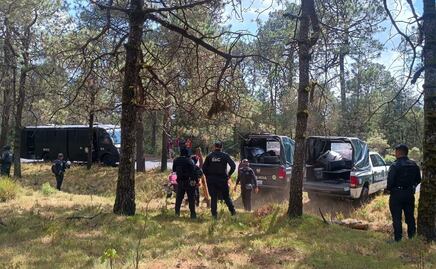 Realizan operativo en poblado de Santo Tomás Ajusco; recuperan 8 hectáreas de suelo de conservación